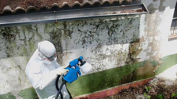 Top rated local Attic Mold Removal specialists in Brentwood, PA